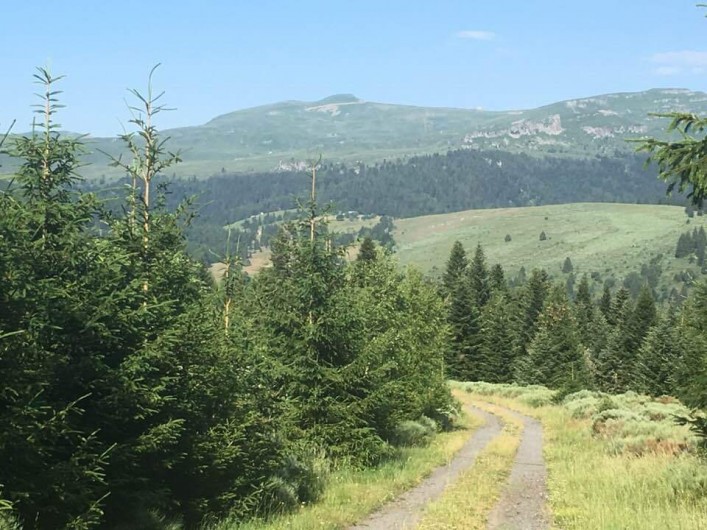 Location de vacances - Villa à Valuéjols - Vue sur le Plomb du Cantal (1855m)