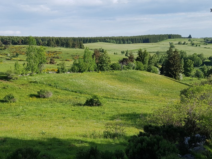 Location de vacances - Villa à Valuéjols - Paysage autour du village