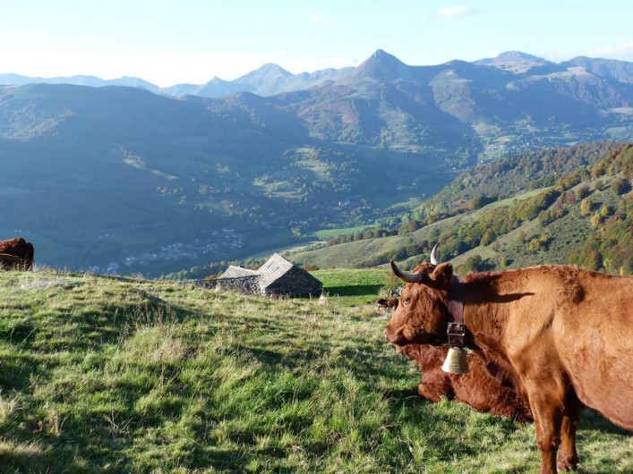 Location de vacances - Villa à Valuéjols - Vue sur le Puy Griou