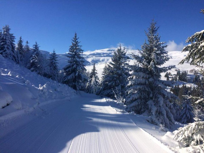 Location de vacances - Villa à Valuéjols - Piste derrière dans la forêt derrière le village