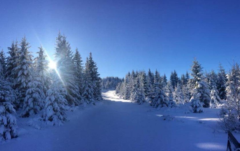Location de vacances - Villa à Valuéjols - Forêt derrière le village