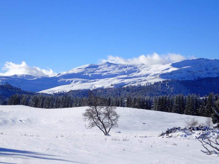 Location de vacances - Villa à Valuéjols - Massif du plomb du Cantal