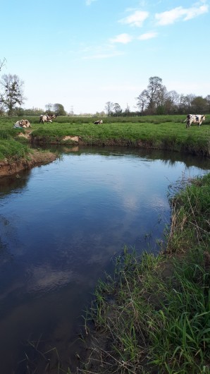Location de vacances - Appartement à Marchésieux