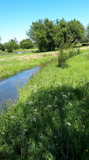 Location de vacances - Appartement à Marchésieux