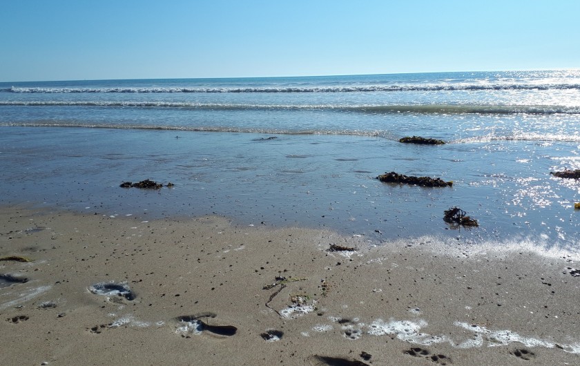 Location de vacances - Appartement à Marchésieux