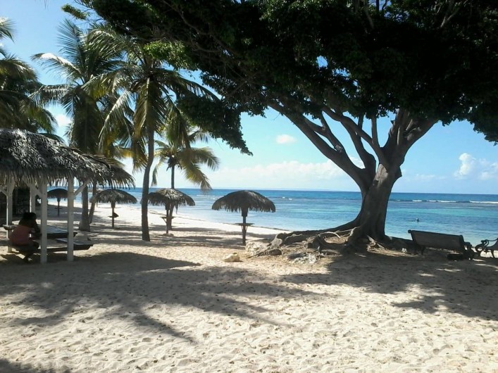 Location de vacances - Appartement à Saint-François