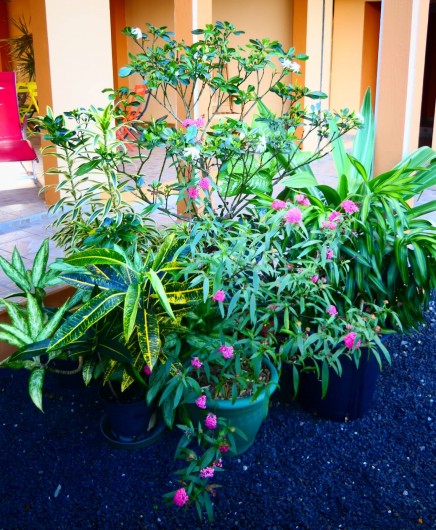 Location de vacances - Appartement à Port-Louis