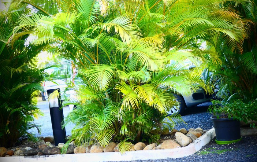 Location de vacances - Appartement à Port-Louis