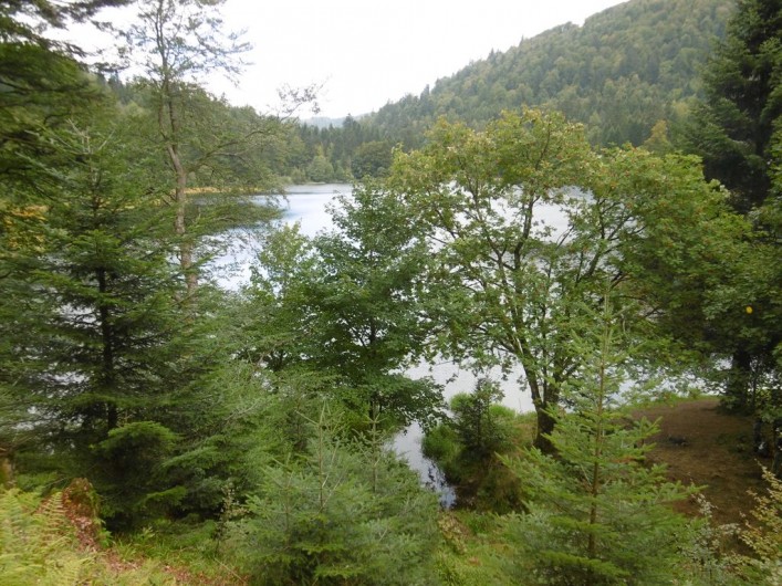 Location de vacances - Chalet à La Bresse - Lac de Blanchemer