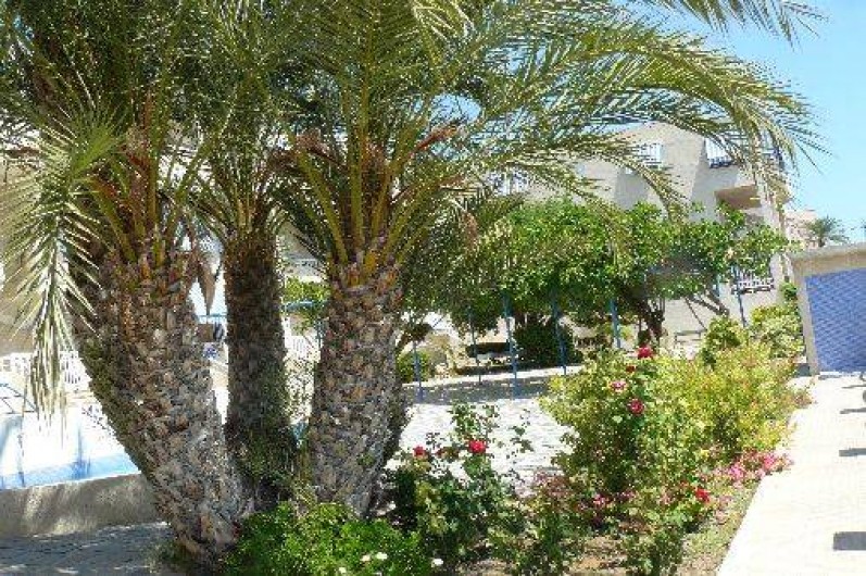 Location de vacances - Appartement à Santa Pola