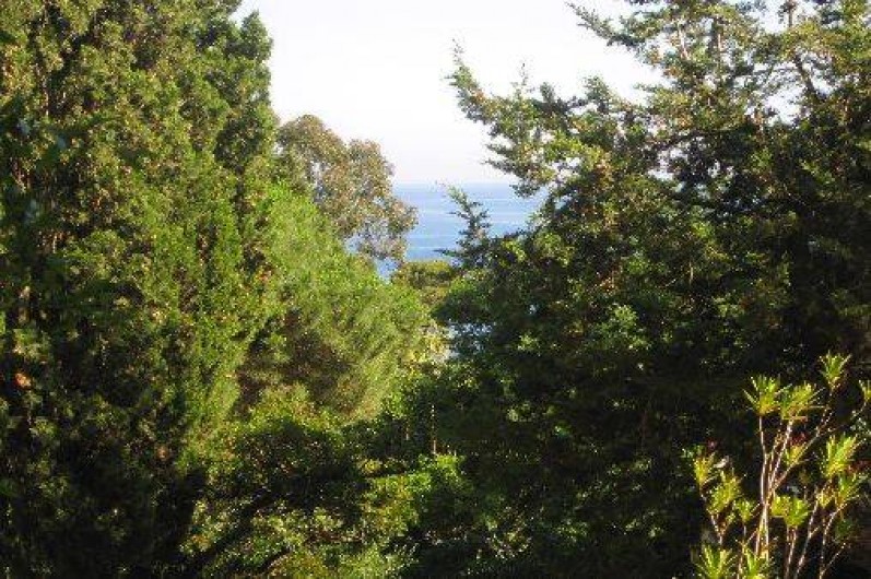 Location de vacances - Studio à Hyères