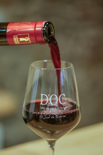 Location de vacances - Chambre d'hôtes à Tourouzelle