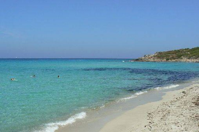 Location de vacances - Maison - Villa à Patrimonio