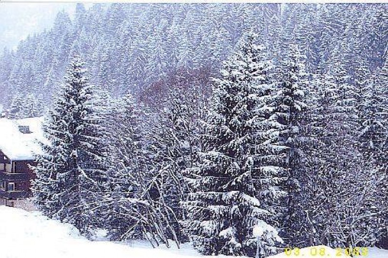 Location de vacances - Appartement à Châtel