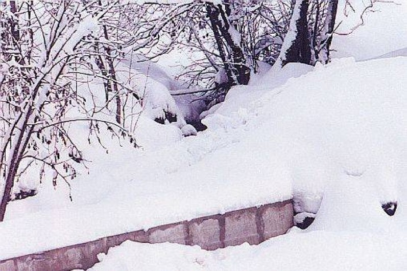 Location de vacances - Appartement à Châtel