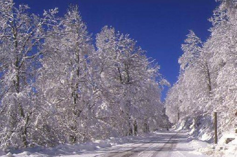 Location de vacances - Chalet à Carcanières