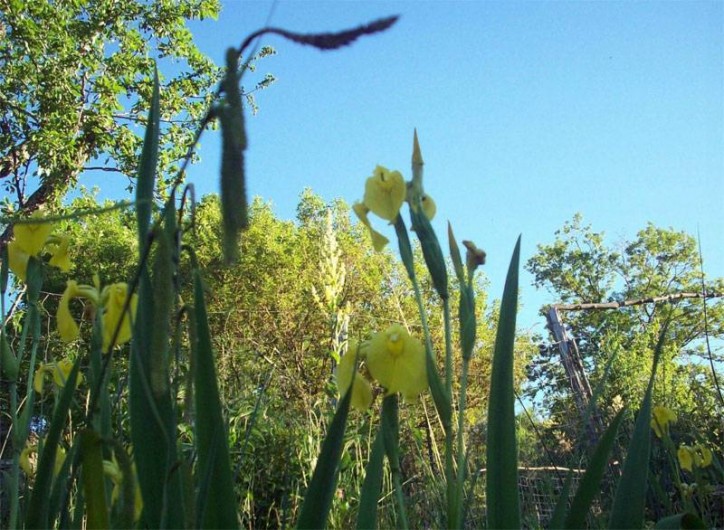 Location de vacances - Gîte à Saint-André-de-Lancize