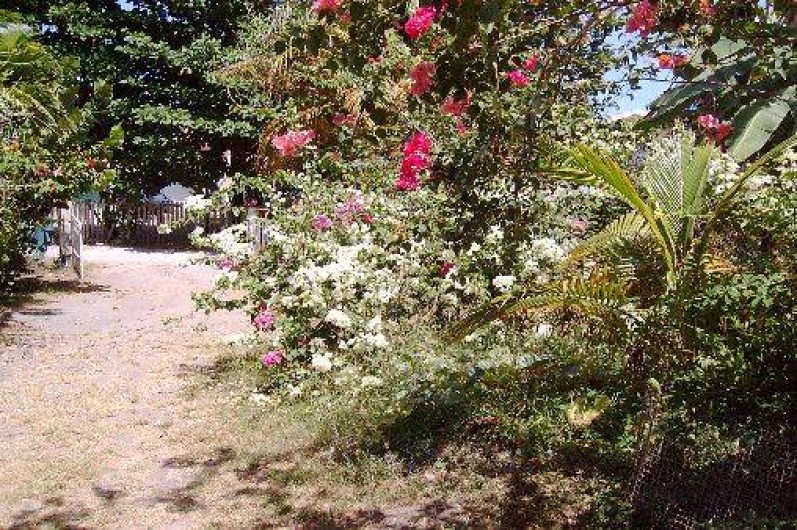 Location de vacances - Appartement à Le Diamant