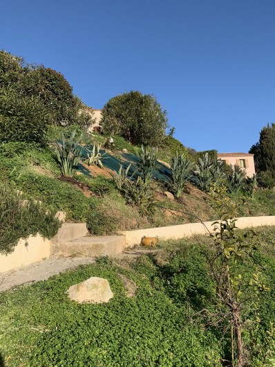 Location de vacances - Villa à Cagnes-sur-Mer - Lower garden