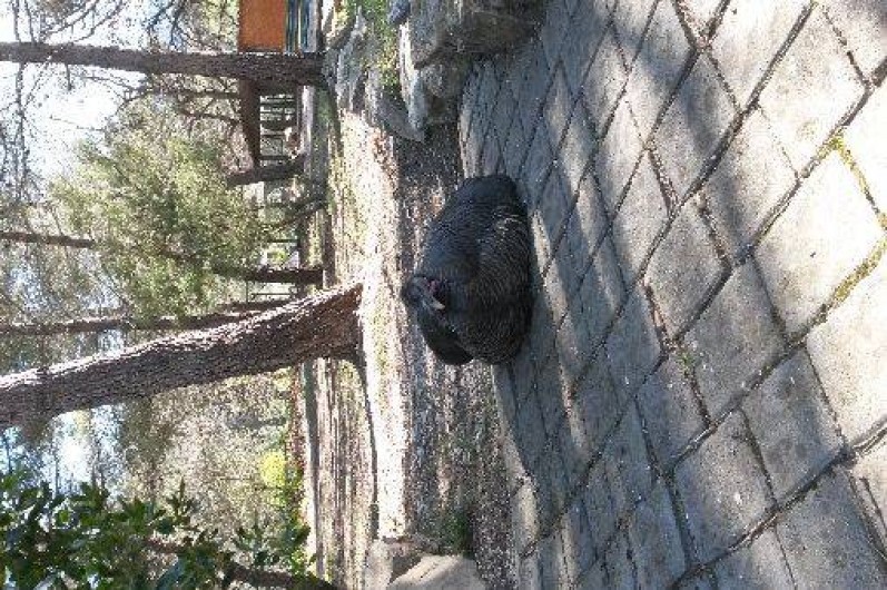 Location de vacances - Villa à Allauch