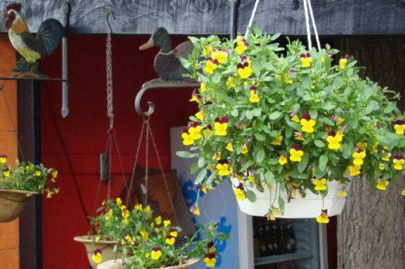 Location de vacances - Camping à Pradons