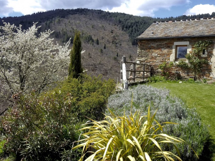Location de vacances - Gîte à Saint-Andéol-de-Clerguemort