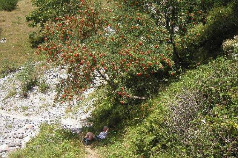 Location de vacances - Chalet à Saint-Jean-Saint-Nicolas