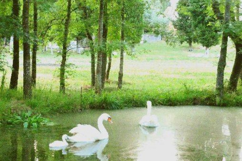 Location de vacances - Villa à Châteauneuf-Grasse