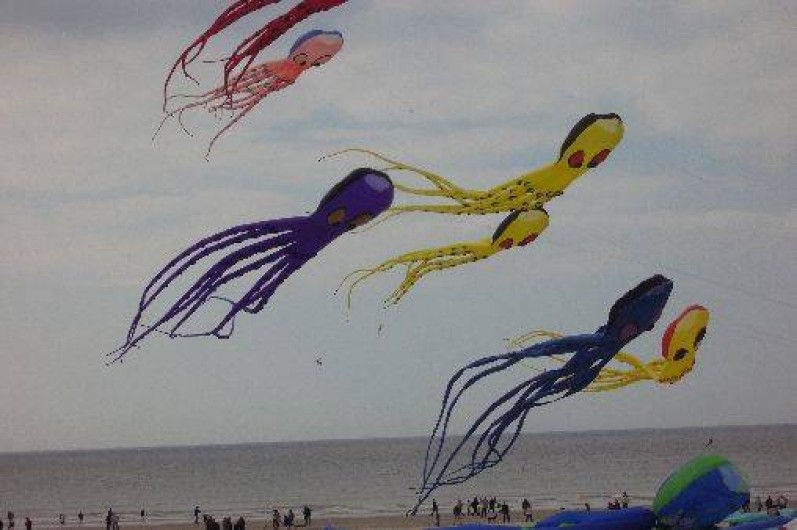 Location de vacances - Gîte à Amiens