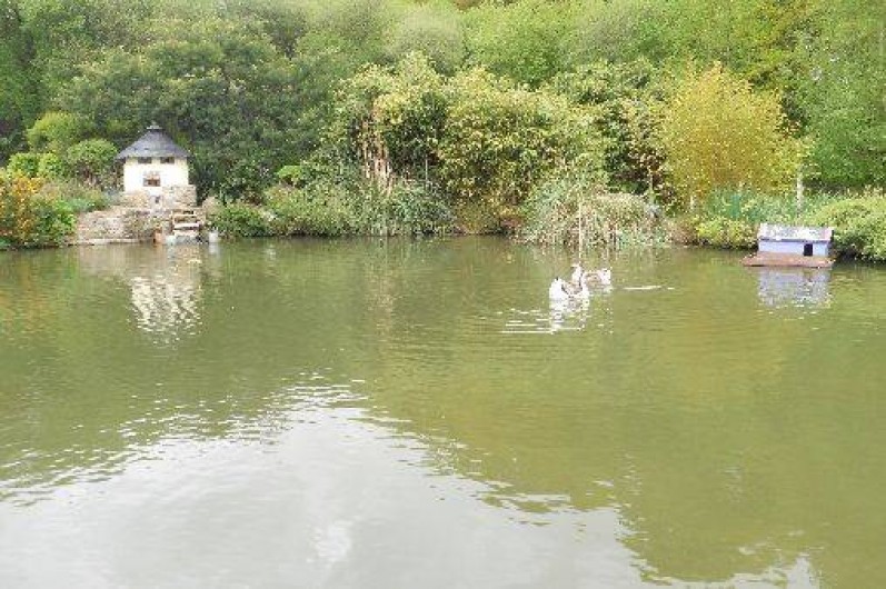 Location de vacances - Gîte à Plumelin