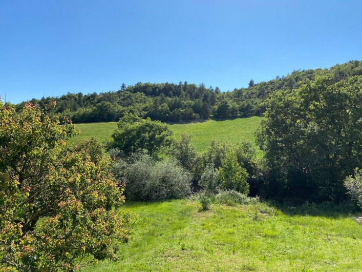 Location de vacances - Maison - Villa à Saint-Jeannet