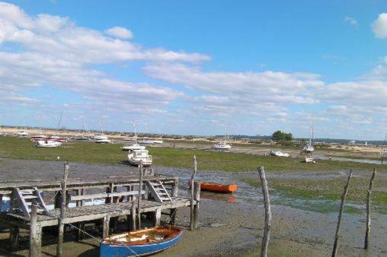 Location de vacances - Appartement à Le Cap Ferret