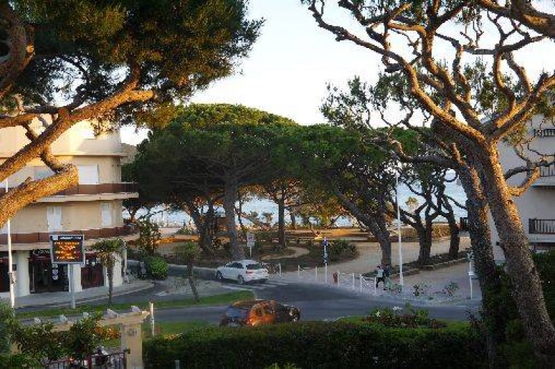 Location de vacances - Appartement à Saint-Cyr-sur-Mer