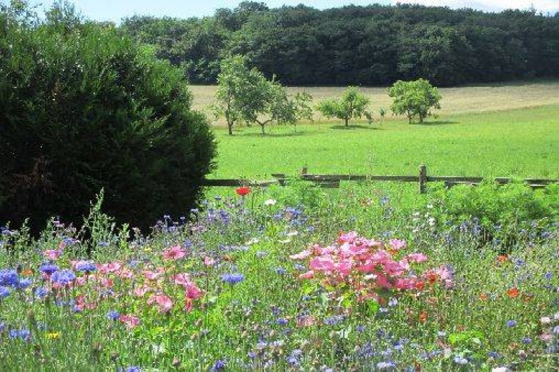 Location de vacances - Gîte à Brosses