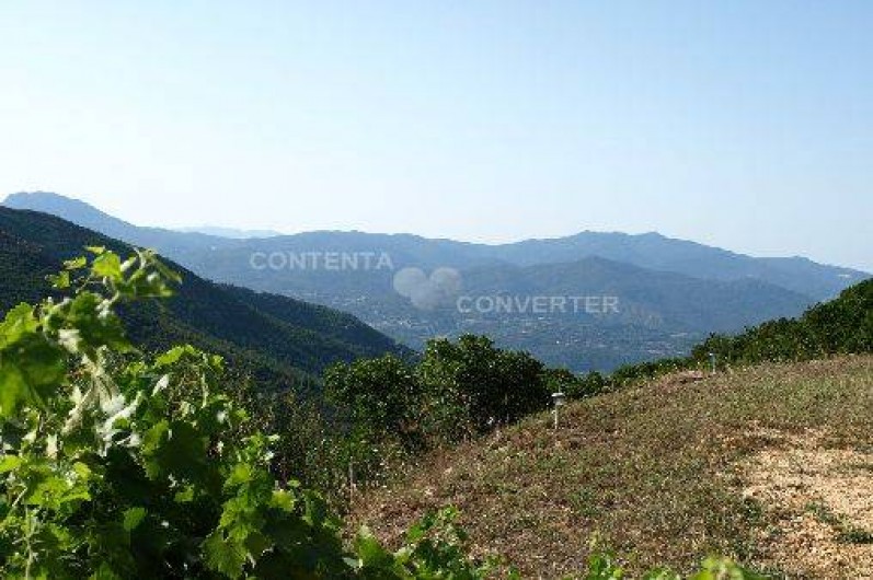 Location de vacances - Chambre d'hôtes à Cuttoli-Corticchiato - autour de la maison