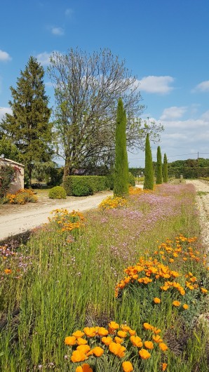 Location de vacances - Gîte à Mazan - Allée du gîte