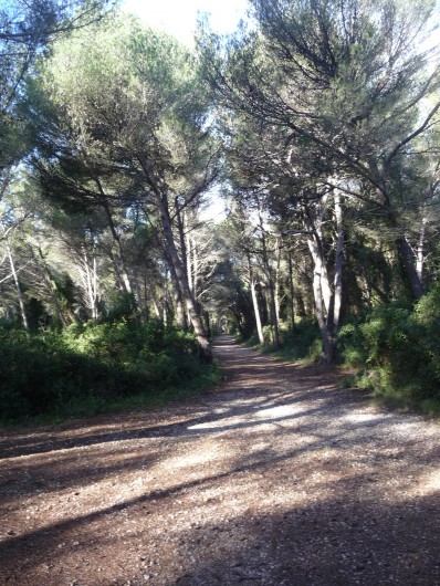 Location de vacances - Appartement à Frontignan - BOIS DES ARESQUIERS A PROXIMITE