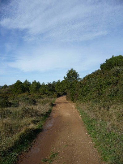 Location de vacances - Appartement à Frontignan - CHEMINS VTT DANS COLLINES DE LA GARDIOLE