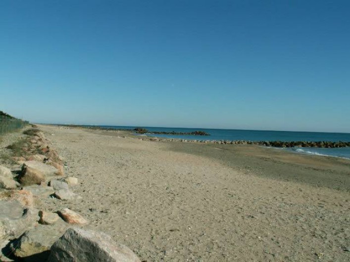 Location de vacances - Appartement à Frontignan - LARGE PLAGE