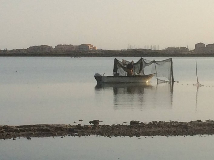 Location de vacances - Appartement à Frontignan - ETANGS