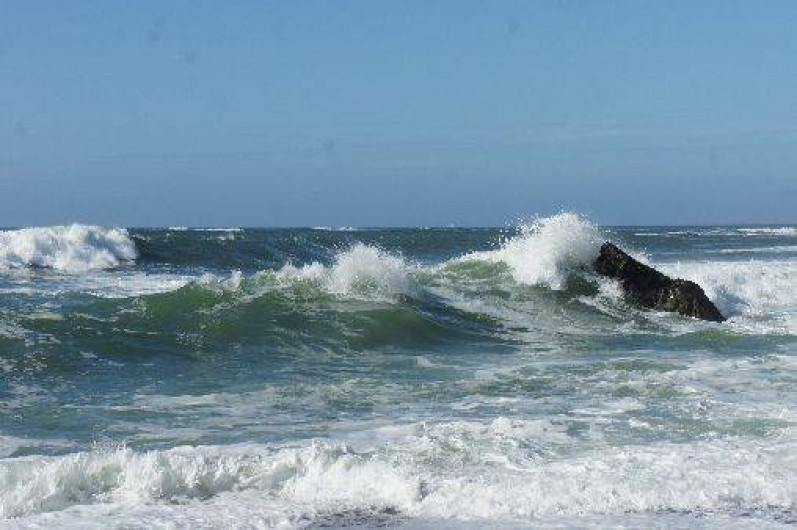 Location de vacances - Maison - Villa à La Turballe