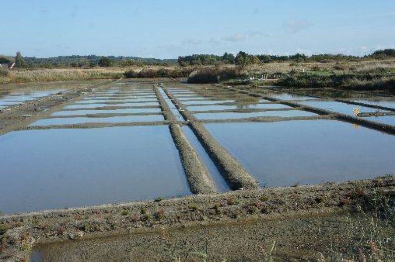 Location de vacances - Maison - Villa à La Turballe