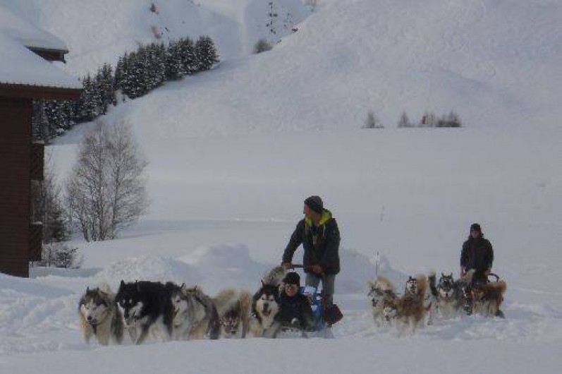 Location de vacances - Studio à La Toussuire