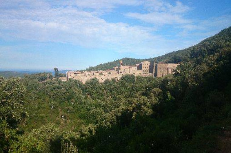 Location de vacances - Studio à Le Lavandou