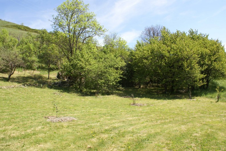 Location de vacances - Chalet à Saint-Paul-sur-Ubaye - le petit bois sur le jardin