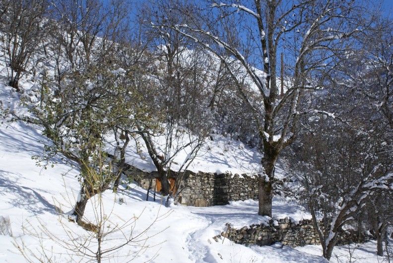 Location de vacances - Chalet à Saint-Paul-sur-Ubaye - espace entourant le chalet (le petit bois )