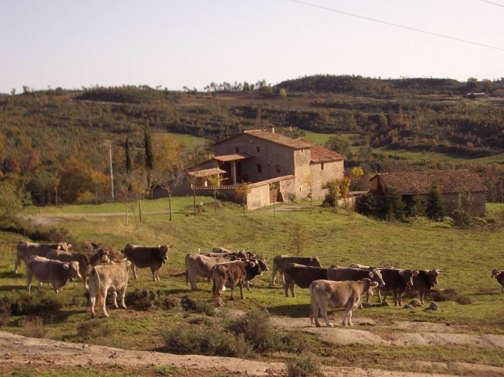 Location de vacances - Gîte à Berga