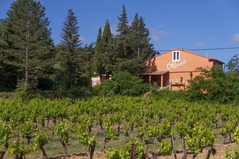Location de vacances - Gîte à Chateauvert - Les vignes à l'entrée