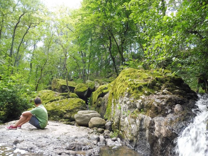 Location de vacances - Gîte à Vernoux-en-Vivarais - Un coin de verdure au bord duquel coule une petite rivière