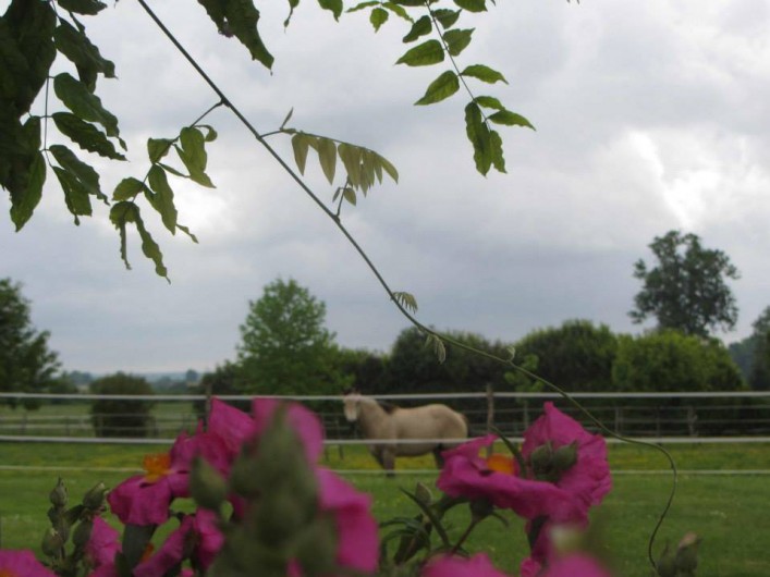 Location de vacances - Chambre d'hôtes à Ardin - Nos extérieurs